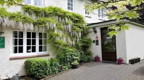 Tumbling Weir Hotel Ottery St Mary Bagian luar foto